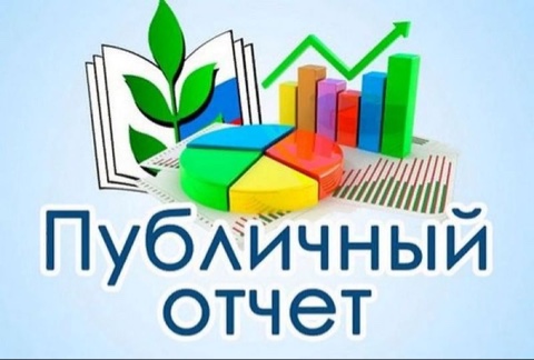 Публичный отчет