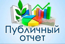 Публичный отчет